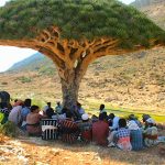 اللواء السقطري: اللغة السقطرية ذاكرة شعب وأمانة وطنية يجب صونها