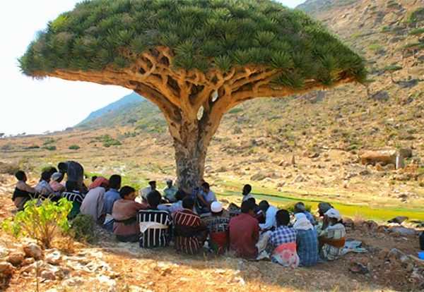 FB_IMG_1772492849553