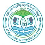 وزارة الزراعة والأسماك تحذر الصيادين من تداعيات المنخفض الجوي